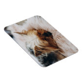 Magnet Flexible Animaux de bébés cutest | Yorkshire Terrier (Côté Droit)