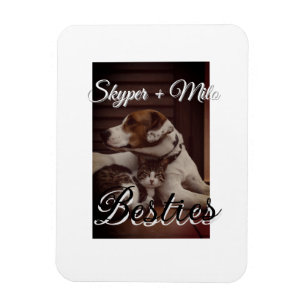 Magnet Flexible Animaux de compagnie amis besties ajouter nom anim