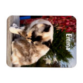 Magnet Flexible Animaux de compagnie, Réfrigérateur photo de chat (Horizontal)