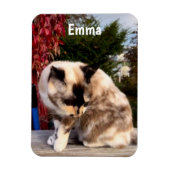 Magnet Flexible Animaux de compagnie, Réfrigérateur photo de chat (Vertical)