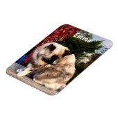 Magnet Flexible Animaux de compagnie, Réfrigérateur photo de chat (Côté Gauche)