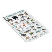 Magnet Flexible Animaux de Floride, faune sauvage de Floride, État (Côté Droit)