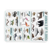 Magnet Flexible Animaux de Floride, faune sauvage de Floride, État (Horizontal)
