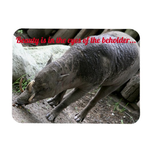 Magnet Flexible Animaux moches, Babirusa (Horizontal)
