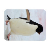 Magnet Flexible Antarctica. Île Petermann. Adelie penguin (Horizontal)