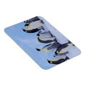 Magnet Flexible Antarctique, Emporer Penguins (Côté Droit)