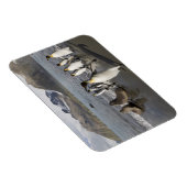 Magnet Flexible Antarctique, île de Géorgie du Sud (UK), Antarctiq (Côté Droit)