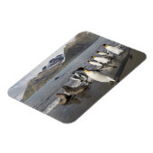Magnet Flexible Antarctique, île de Géorgie du Sud (UK), Antarctiq (Côté Gauche)