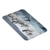 Magnet Flexible Antarctique, île Paulet. Pingouins d'Adelie (Côté Droit)