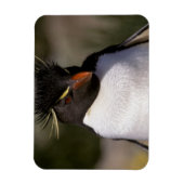 Magnet Flexible Antarctique, îles sub-antarctiques, Sud 5 (Vertical)