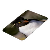 Magnet Flexible Antarctique, îles sub-antarctiques, Sud 5 (Côté Gauche)