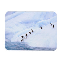 Antarctique, péninsule Antarctique. Écran