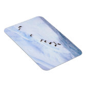Magnet Flexible Antarctique, péninsule Antarctique. Gorget (Côté Droit)
