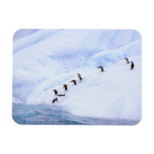 Magnet Flexible Antarctique, péninsule Antarctique. Gorget (Horizontal)