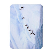 Magnet Flexible Antarctique, péninsule Antarctique. Gorget (Vertical)