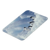 Magnet Flexible Antarctique. Pingouins d'Adelie (Côté Gauche)