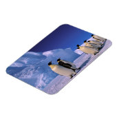 Magnet Flexible Antarctique, territoire australien antarctique, 7 (Côté Gauche)