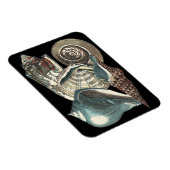 Magnet Flexible Anthologie des coquillages (Côté Droit)