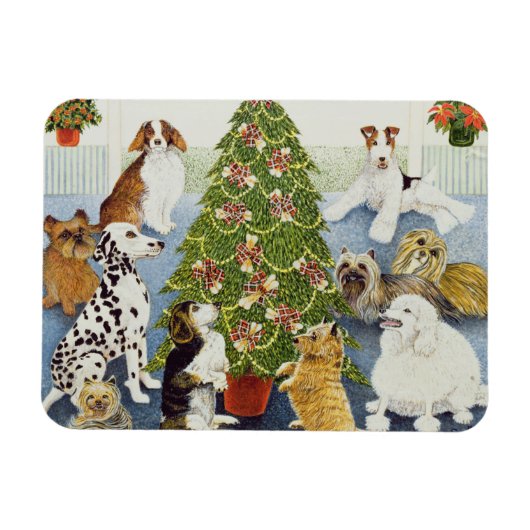 Magnet Flexible Anticipation (Horizontal)