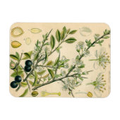 Magnet Flexible Antique Blackthorn Botanique Imprimé Fleur Berry (Horizontal)