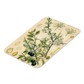 Magnet Flexible Antique Blackthorn Botanique Imprimé Fleur Berry (Côté Gauche)
