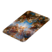 Magnet Flexible Apothéose d'Hercule au Château de Versailles (Côté Gauche)