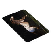 Magnet Flexible Appaloosa Horse Running 4 (Côté Droit)