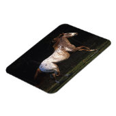 Magnet Flexible Appaloosa Horse Running 4 (Côté Gauche)