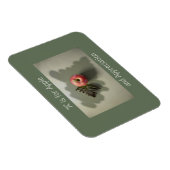 Magnet Flexible Apple pour l'appréciation des enseignants Vert per (Côté Droit)