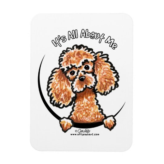 Magnet Flexible Apricot Jouet Miniature Poodle IAAM (Vertical)