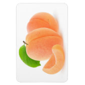 Magnet Flexible Apricots frais (Vertical)