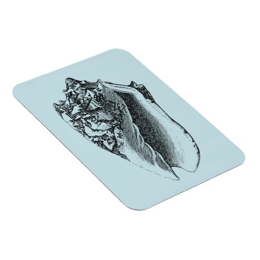 Magnet Flexible Aqua Conch Shell (Côté Droit)