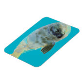 Magnet Flexible Aqua Green (Côté Gauche)