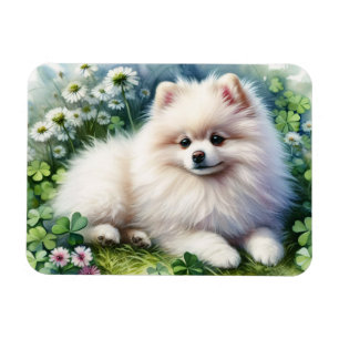 Magnet Flexible Aquarelle blanche Poméranie Chien Clover flexible
