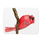 Magnet Flexible Aquarelle cardinale (Horizontal)