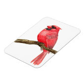 Magnet Flexible Aquarelle cardinale (Côté Gauche)