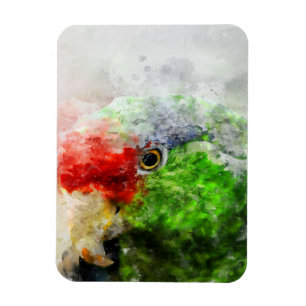 Magnet Flexible Aquarelle d'art Parrot Green Parakeet Cadeau