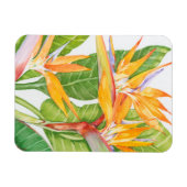 Magnet Flexible Aquarelle de fleurs exotiques (Horizontal)