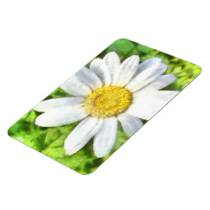 Magnet Flexible Aquarelle de marais radiant