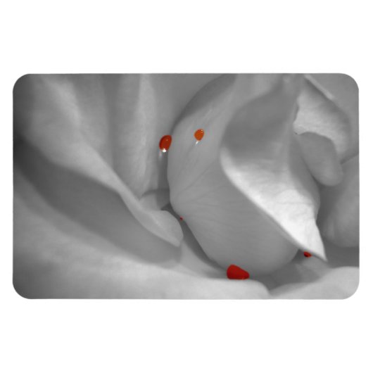 Magnet Flexible Aquarelle éolienne Aimante flexible (Horizontal)
