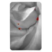 Magnet Flexible Aquarelle éolienne Aimante flexible (Vertical)