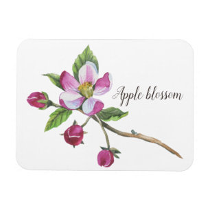 Magnet Flexible Aquarelle Fleur de Pommier Botanique