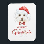 Magnet Flexible Aquarelle Maltese à Santa Hat Joyeux Noël<br><div class="desc">Joyeux Noël! Envoyez vos souhaits de vacances à votre famille et à vos amis avec cet aimant de Noël personnalisable. Il présente un Maltais aquarelle portant un chapeau de Père Noël. Personnalisez ce mignon aimant de Noël en ajoutant vos détails. Cet aimant de Noël pour chien maltais est disponible sur...</div>