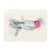 Magnet Flexible Aquarelle Opera Cockatoo (Horizontal)