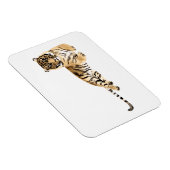 Magnet Flexible Aquarelle Tiger Repose (Côté Droit)