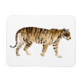 Magnet Flexible Aquarelle Tigre Marcher (Horizontal)