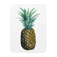 Aquarelle tropicale à ananas