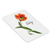 Magnet Flexible Aquarelle Tulip Floral (Côté Droit)