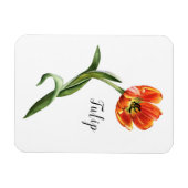 Magnet Flexible Aquarelle Tulip Floral (Horizontal)