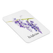 Magnet Flexible Aquarelle Wisteria Botanique (Côté Droit)